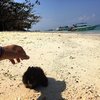 Круиз по 9 островам — фото 12